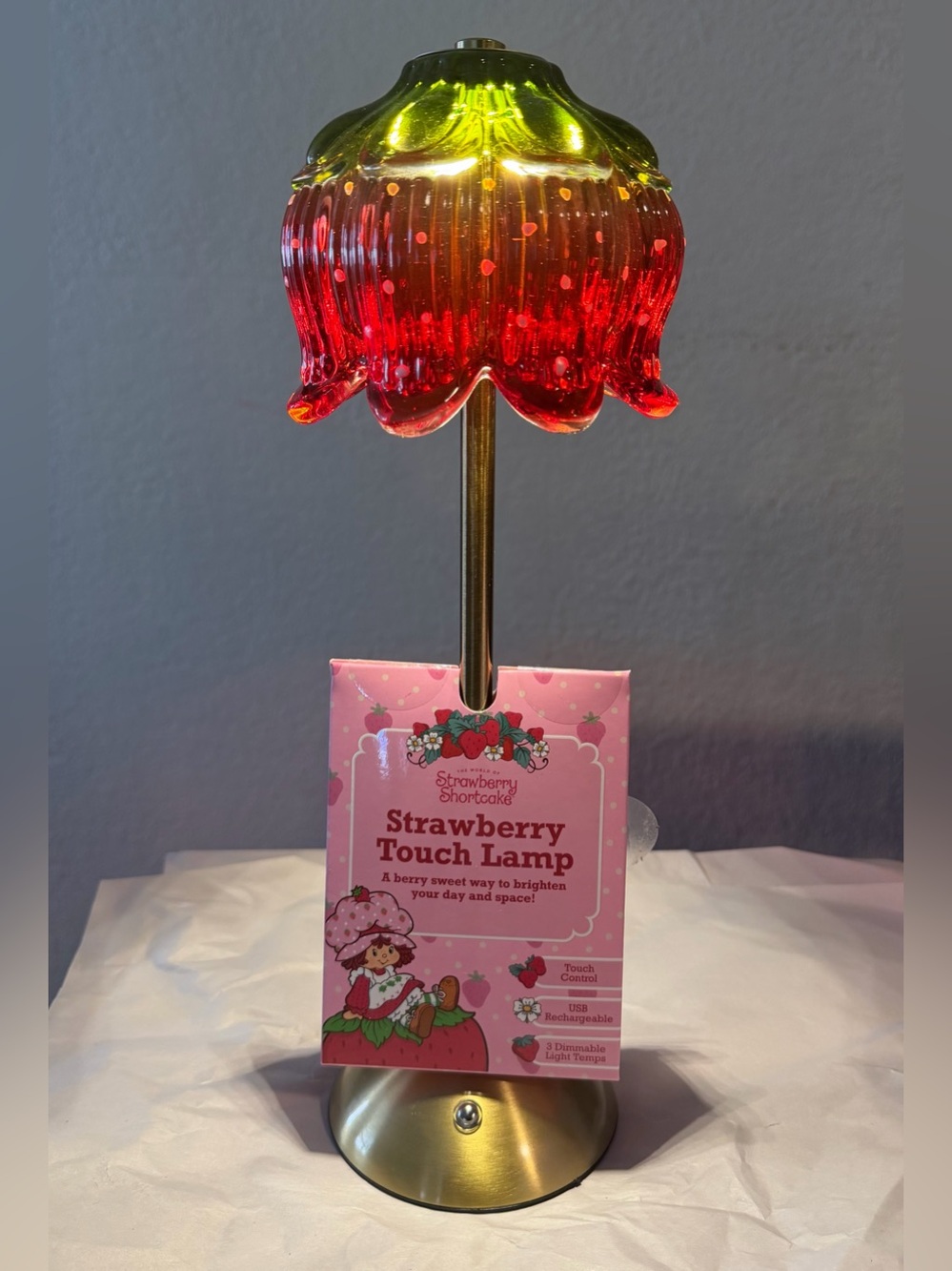 Strawberry Shortcake Touch Lamp USB Rechargeable Glass Dimmable Light VIRAL NEW